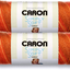 Caron Simply Soft Bulk Buy Paints 100% Acrylic Yarn (2-Pack) ~ 5 oz. Skeins