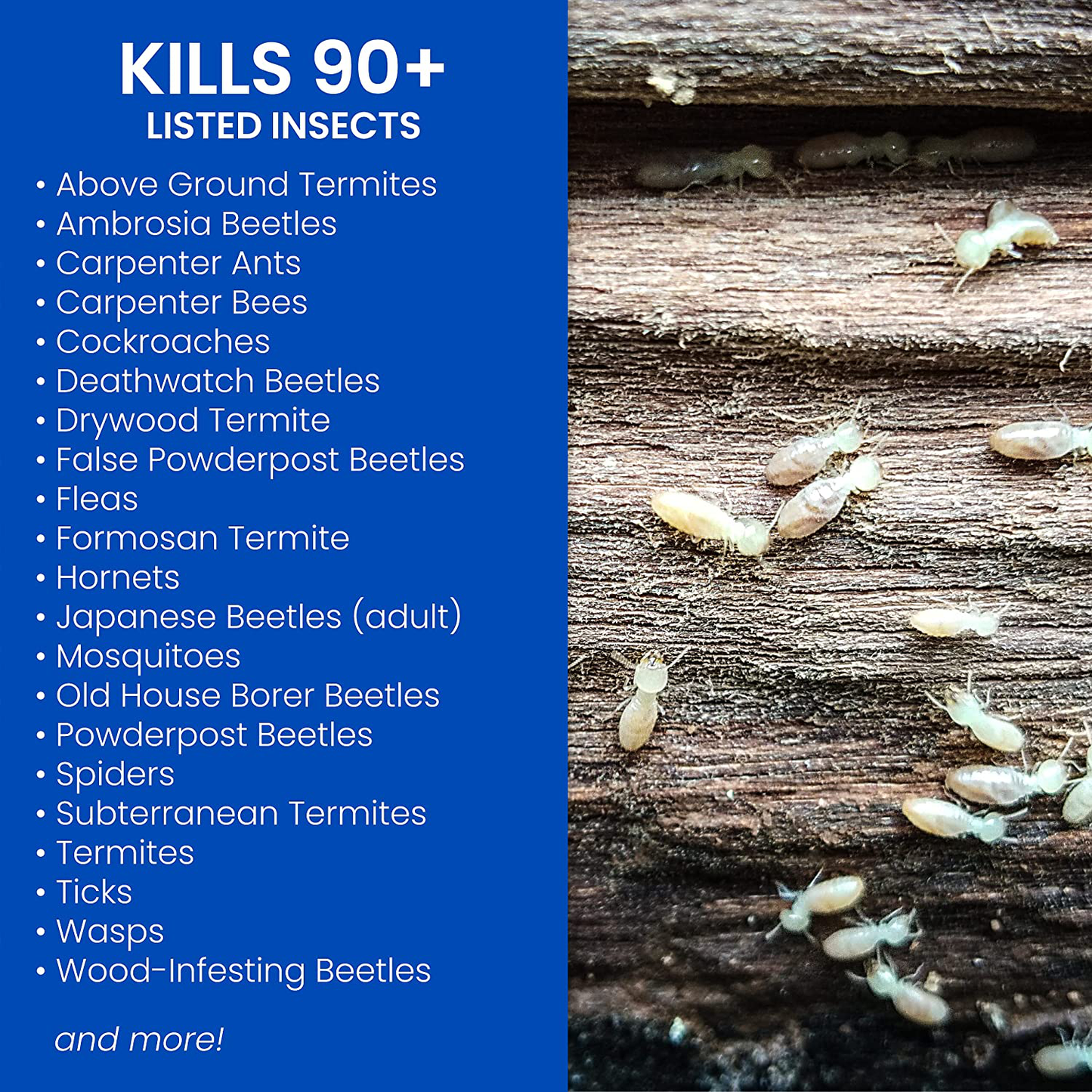 BIOADVANCED 700335A Carpenter Ant and Termite Killer Plus Pesticide for Outdoors, 1.3-Gallon, Ready-to-Use Battery Powered Sprayer