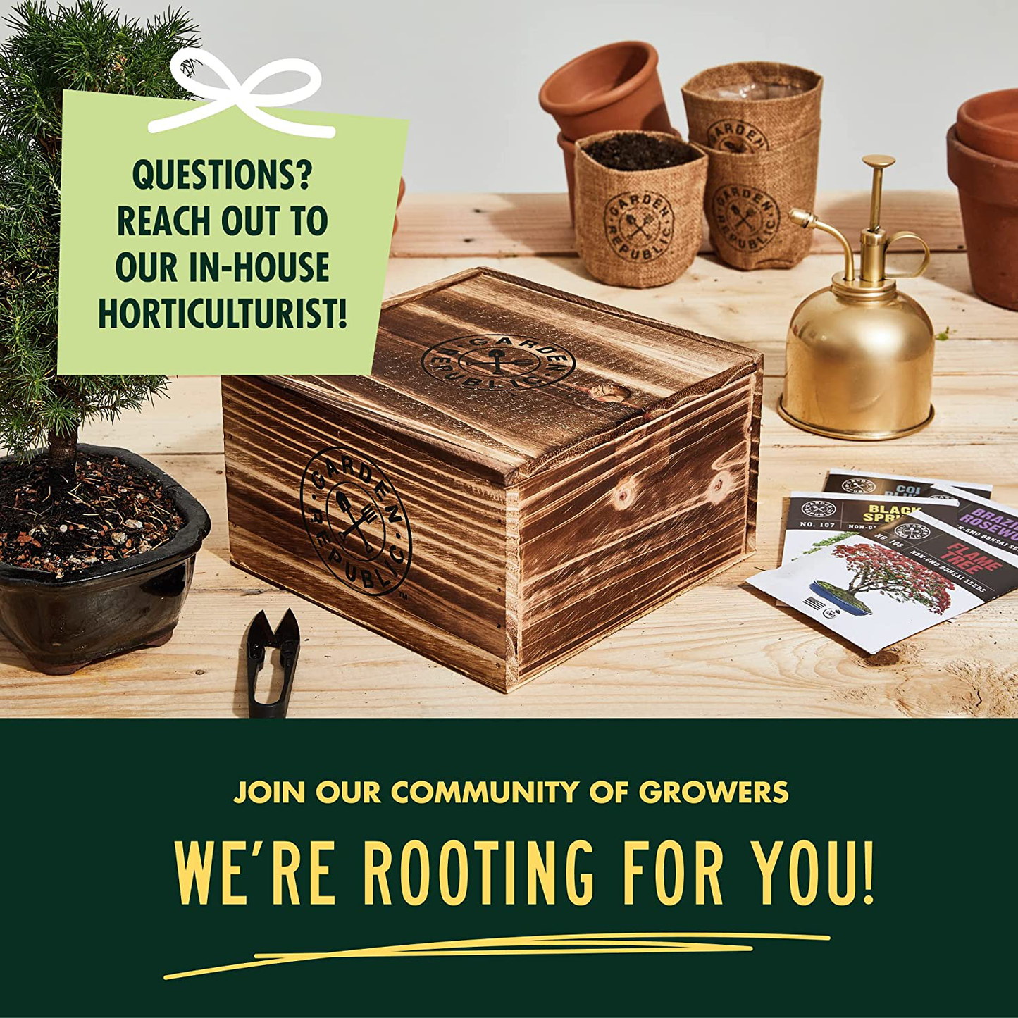 Bonsai Tree Seed Starter Kit - Mini Bonsai Plant Growing Kit, 4 Types of Seeds, Potting Soil, Pots, Pruning Shears Scissor Tool, Plant Markers, Wood Gift Box, Indoor Garden Gardening Gifts Ideas