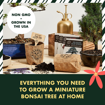 Bonsai Tree Seed Starter Kit - Mini Bonsai Plant Growing Kit, 4 Types of Seeds, Potting Soil, Pots, Pruning Shears Scissor Tool, Plant Markers, Wood Gift Box, Indoor Garden Gardening Gifts Ideas