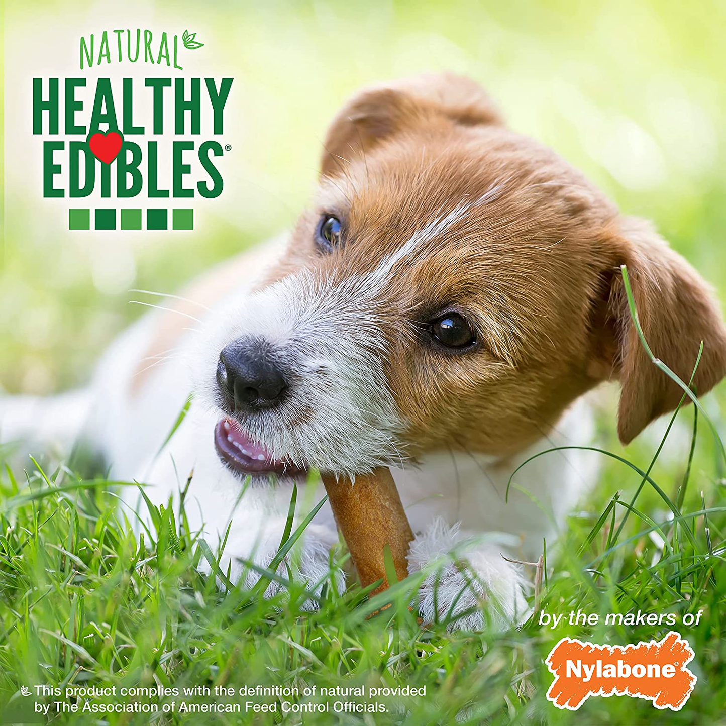 Nylabone Healthy Edibles All-Natural Long Lasting Bacon Flavor Chew Treats 3 Count Bacon Small/Regular