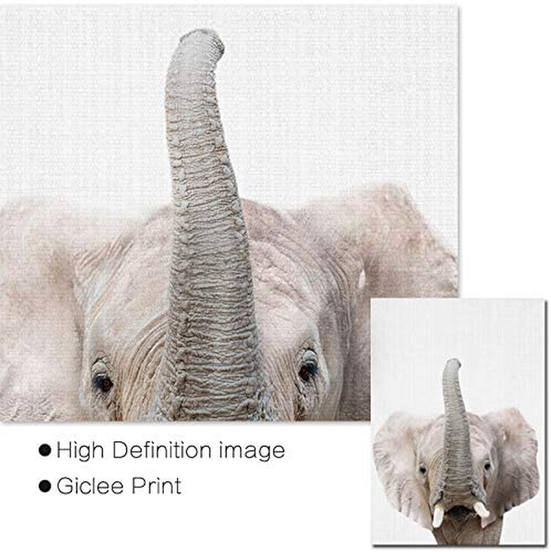 Baby Animal Posters and Prints - EPHANY ART YMX016 - Baby Nursery Decor Pictures Set of 6 (Unframed) Cute Animal Photography Wall Prints for Baby Boys & Girls Room YMX016 (8"x10"(20x25cm))