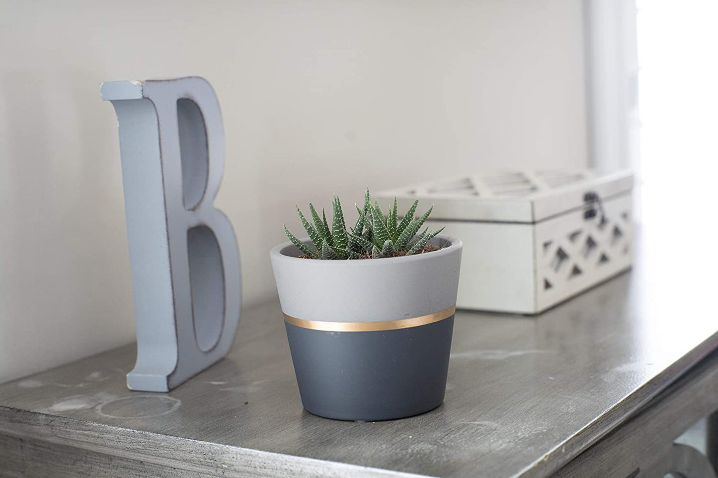 Costa Farms Succulents Fully Rooted Live Indoor Plant, 4-Inch Haworthia, in Black Gold Décor Ceramic Room Decor