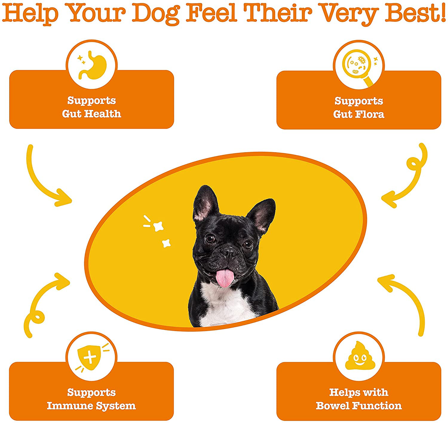 Zesty Paws Probiotic for Dogs - Probiotics for Gut Flora, Digestive Health, Occasional Diarrhea & Bowel Support