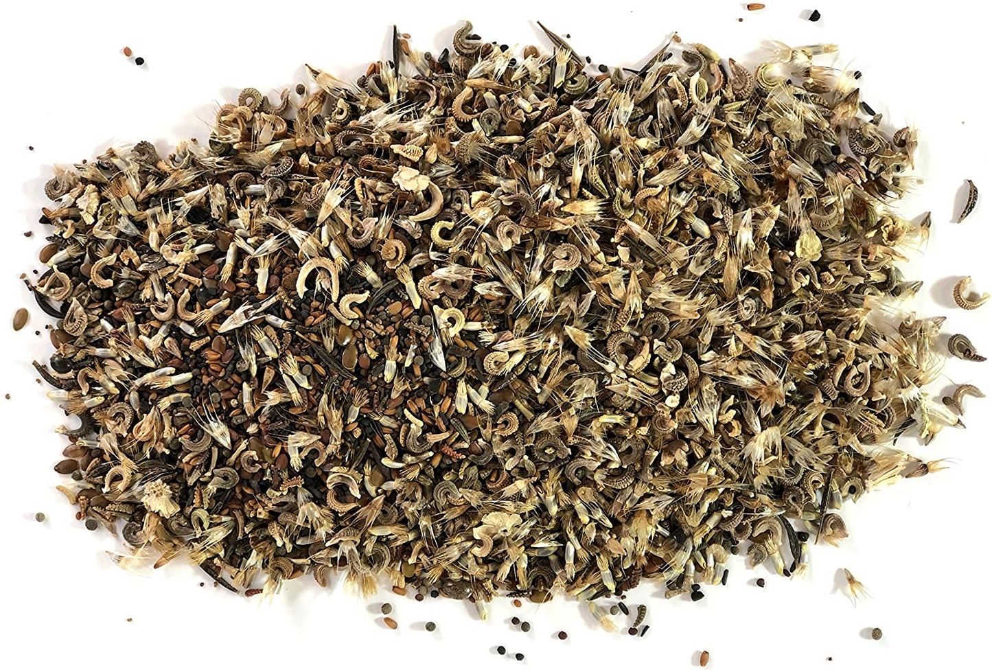 Wildflower Seeds Annual Quick Blooming Mix - Large 1 Ounce Packet over 7,500 Open Pollinated Seeds