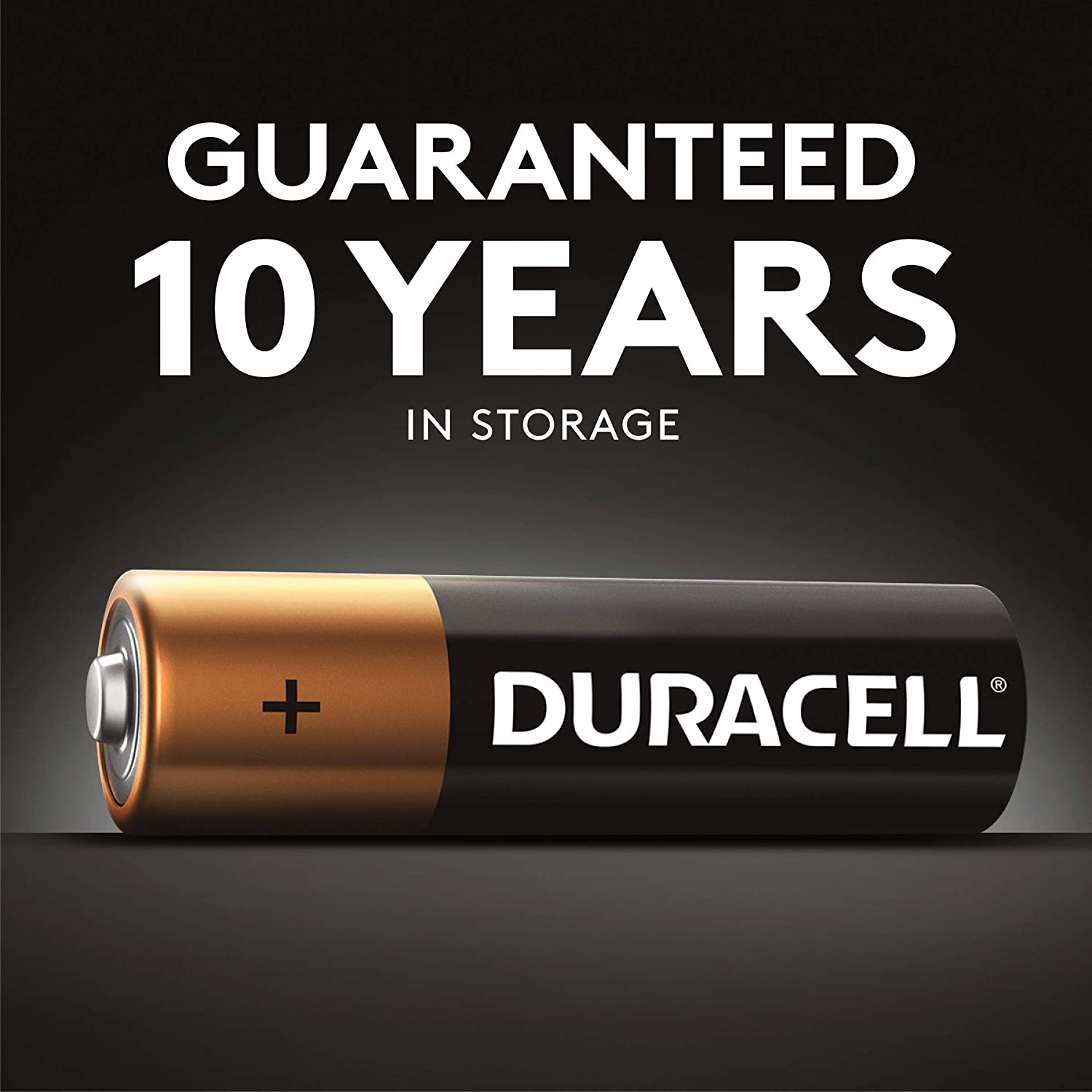 Duracell - CopperTop AA Alkaline Batteries - long lasting, all-purpose Double A battery for household and business
