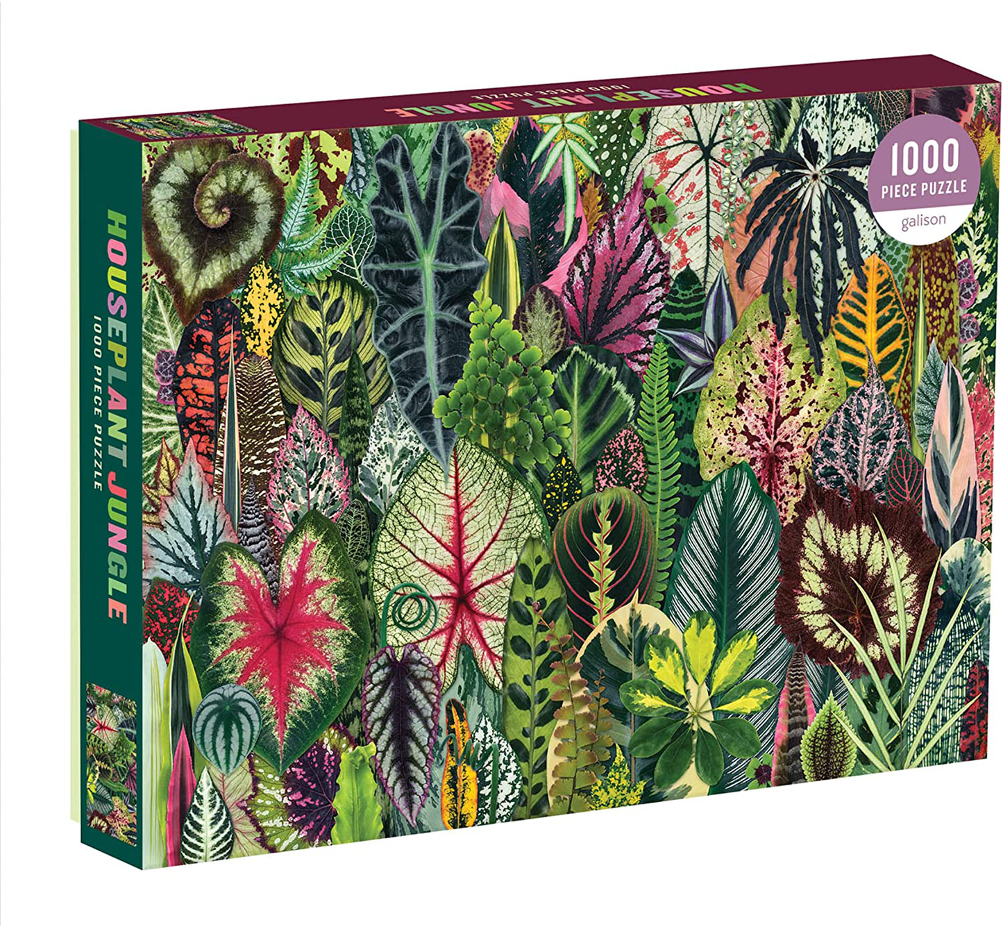 Galison Houseplant Jungle 1000 Piece Jigsaw Puzzle for Adults – Plant Jigsaw Puzzle with Mix of Succulents & Other Household Plants – Fun Indoor Activity, Multicolor