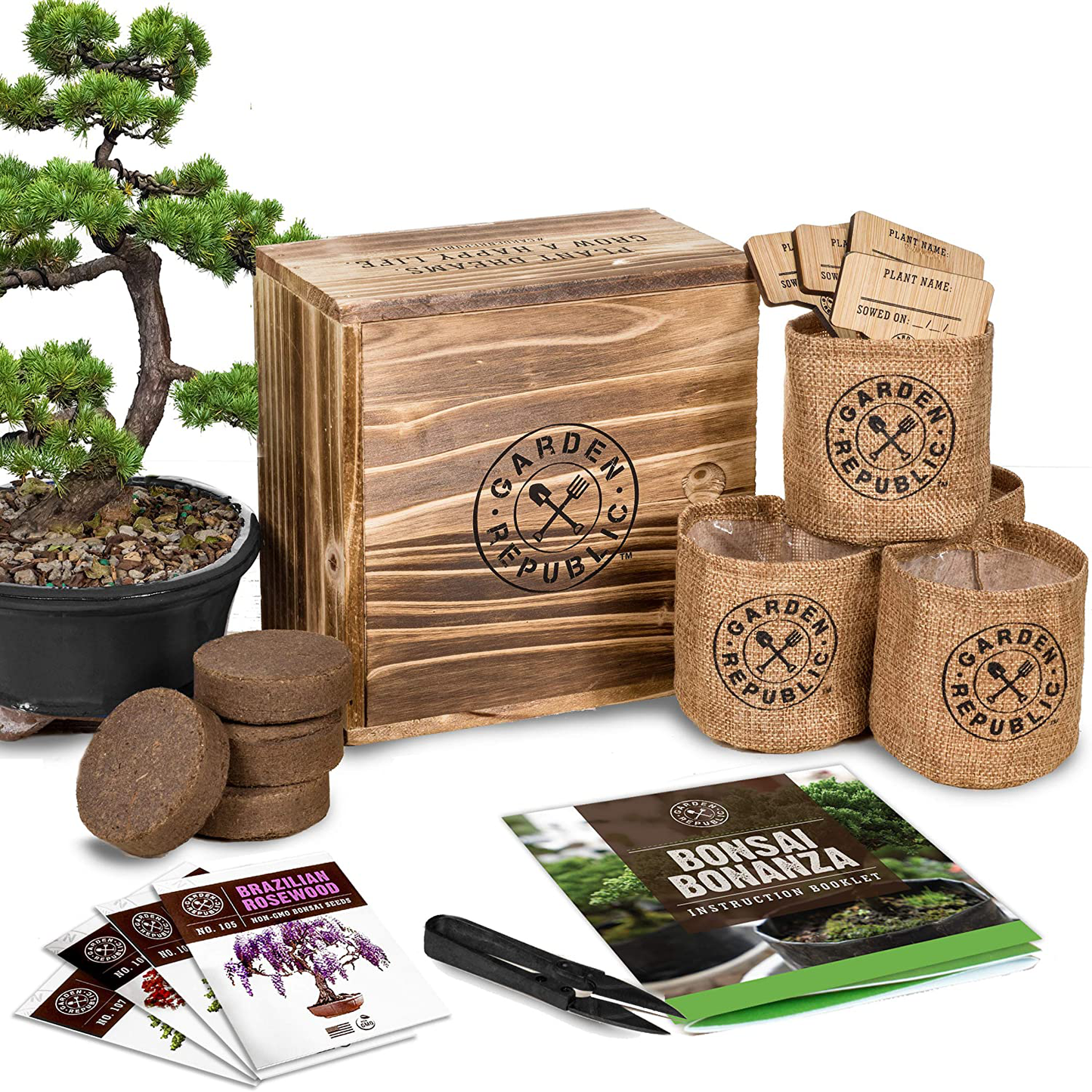 Bonsai Tree Seed Starter Kit - Mini Bonsai Plant Growing Kit, 4 Types of Seeds, Potting Soil, Pots, Pruning Shears Scissor Tool, Plant Markers, Wood Gift Box, Indoor Garden Gardening Gifts Ideas