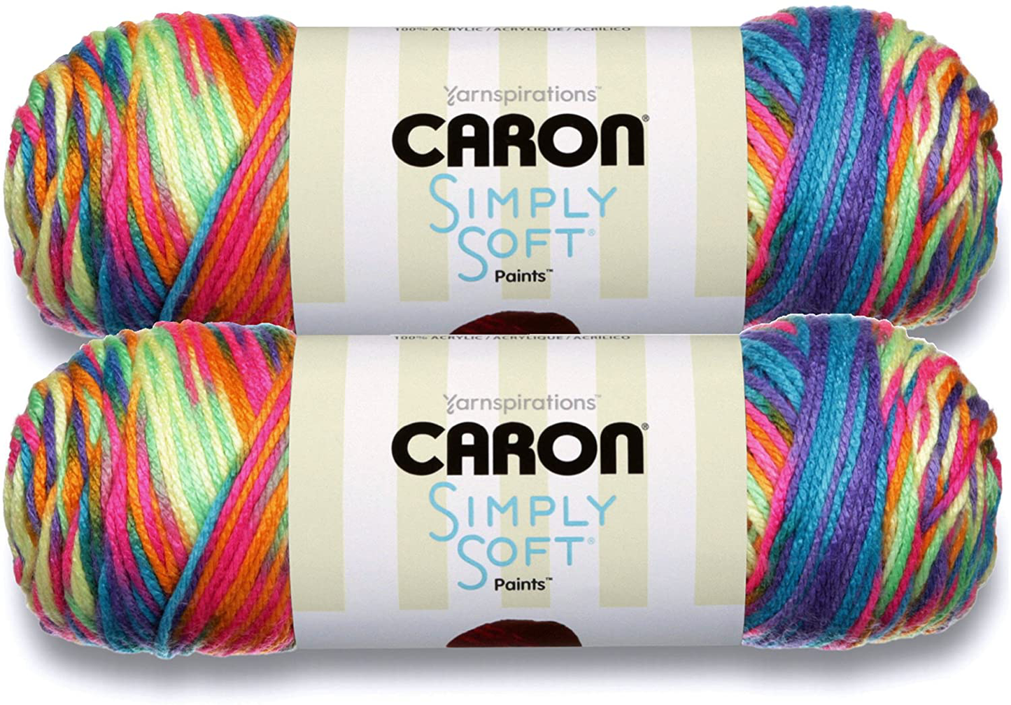 Caron Simply Soft Bulk Buy Paints 100% Acrylic Yarn (2-Pack) ~ 5 oz. Skeins