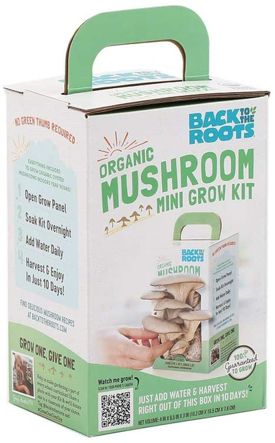 Back to the Roots Organic Mini Mushroom Grow Kit, Harvest Gourmet Oyster Mushrooms in 10 Days, Top Gardening Gift, Holiday Gift, & Unique Gift