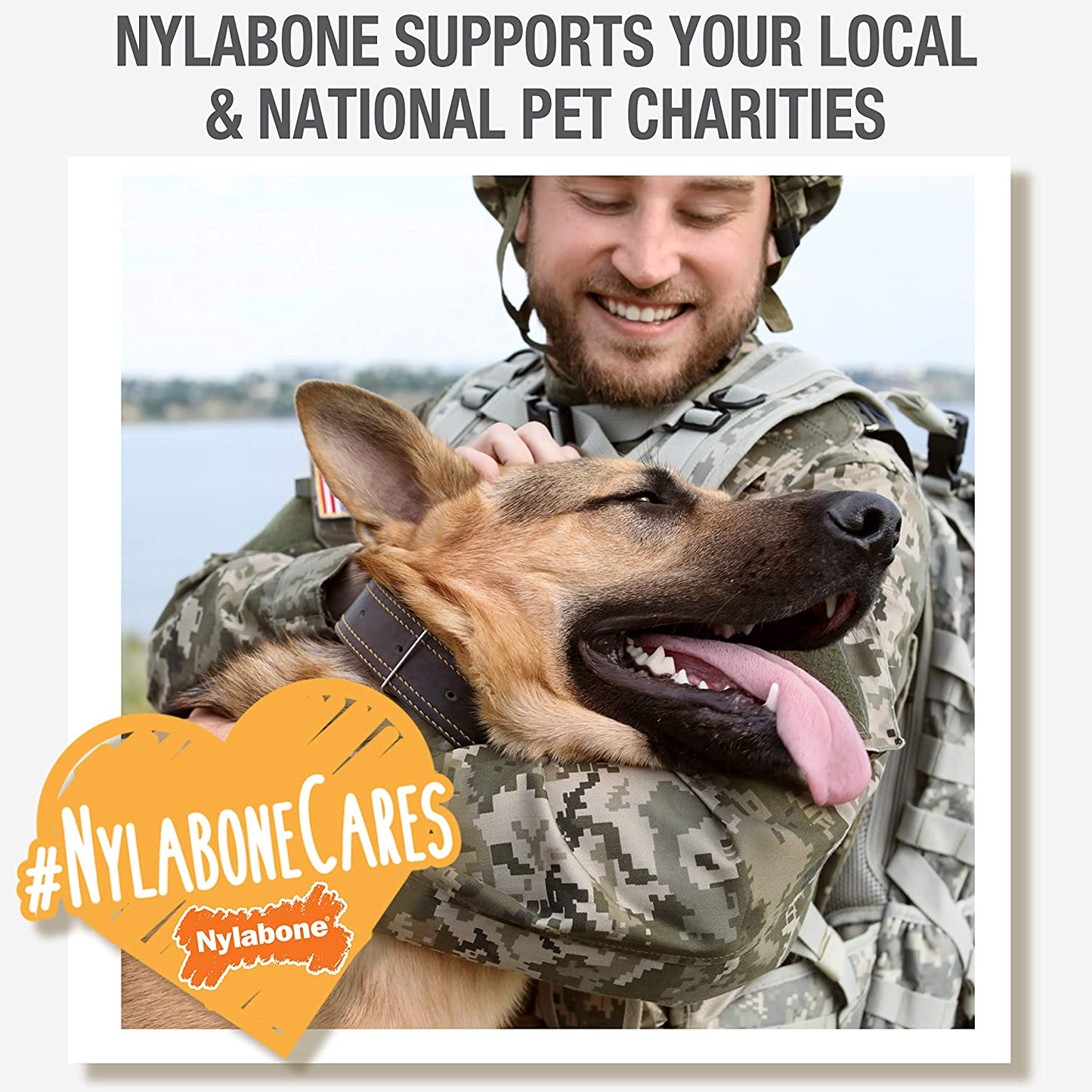 Nylabone Healthy Edibles All-Natural Long Lasting Bacon Flavor Chew Treats 3 Count Bacon Small/Regular