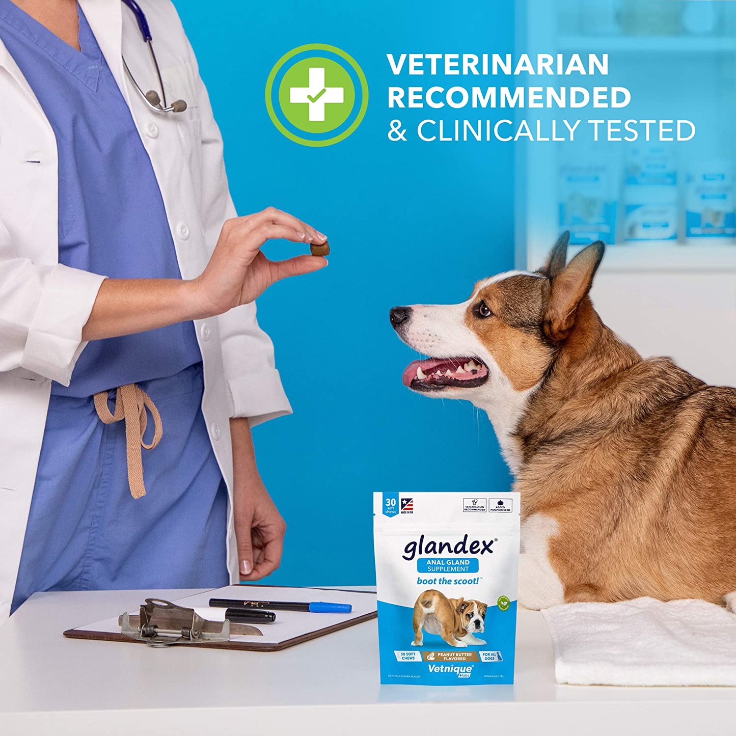 Glandex Anal Gland Soft Chew Treats with Pumpkin for Dogs 30ct Chews with Digestive Enzymes, Probiotics Fiber Supplement for Dogs