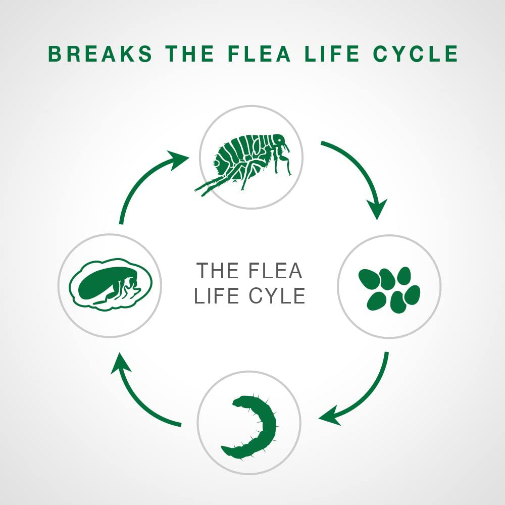 Advantage II Flea Prevention and Treatment for Cats