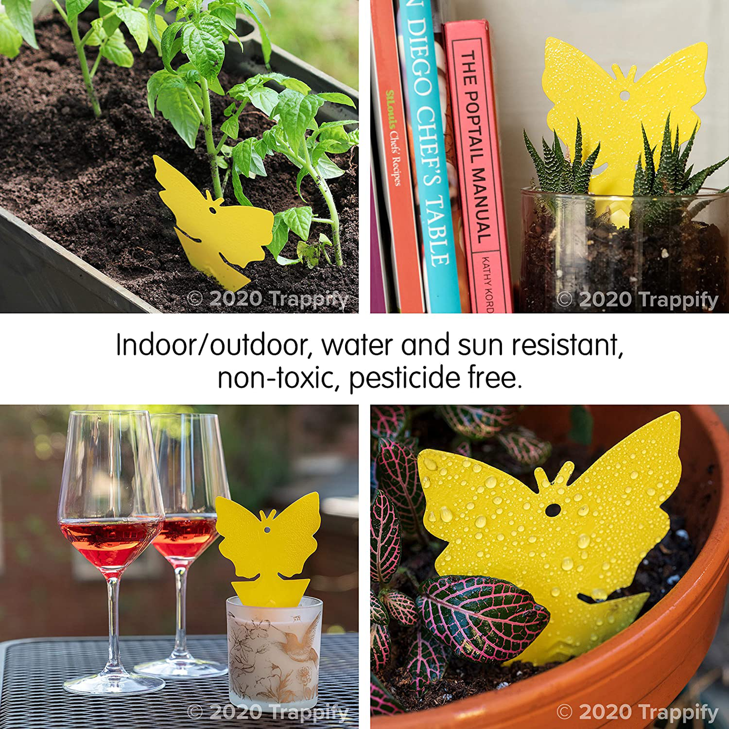 Trappify Sticky Fruit Fly and Gnat Trap Yellow Sticky Bug Traps for Indoor/Outdoor Use - Insect Catcher for White Flies, Mosquitos, Fungus Gnats, Flying Insects - Disposable Glue Trappers (12)