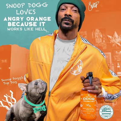 ANGRY ORANGE Pet Odor Eliminator for Home - Citrus Deodorizer for Urine Stains & Strong Smells on Carpet, Furniture, or Floors