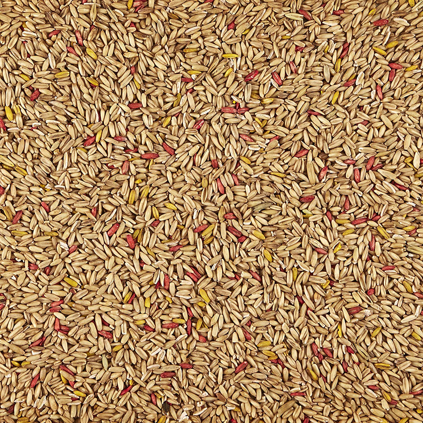 Kaytee Forti-Diet Pro Health Oat Groats Bird Treat
