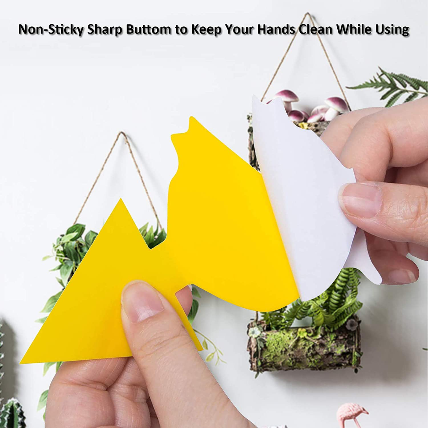 24 Pack Sticky Traps for Indoor Outdoor Natural Pest Control, Fruit Fly Trap and Fungus Gnat Traps for House Plants, Whitefly, Mosquito Bits, Flying Insects, Fly Traps Save Your Plants (Black)