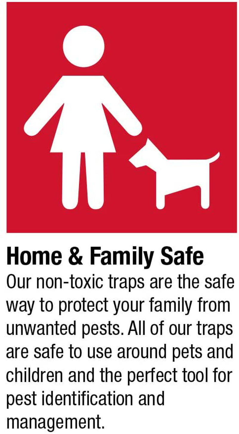Catchmaster Sticky Fly Trap Ribbon - Indoor/Outdoor Fly Catcher Insect Killer- Pack of 20 Rolls