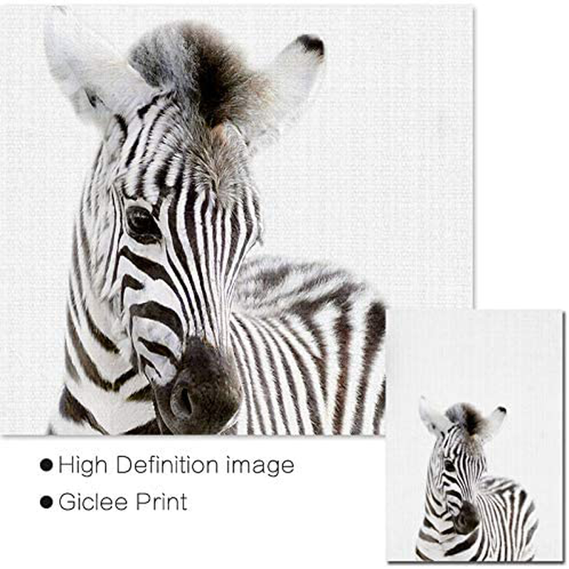 Baby Animal Posters and Prints - EPHANY ART YMX016 - Baby Nursery Decor Pictures Set of 6 (Unframed) Cute Animal Photography Wall Prints for Baby Boys & Girls Room YMX016 (8"x10"(20x25cm))