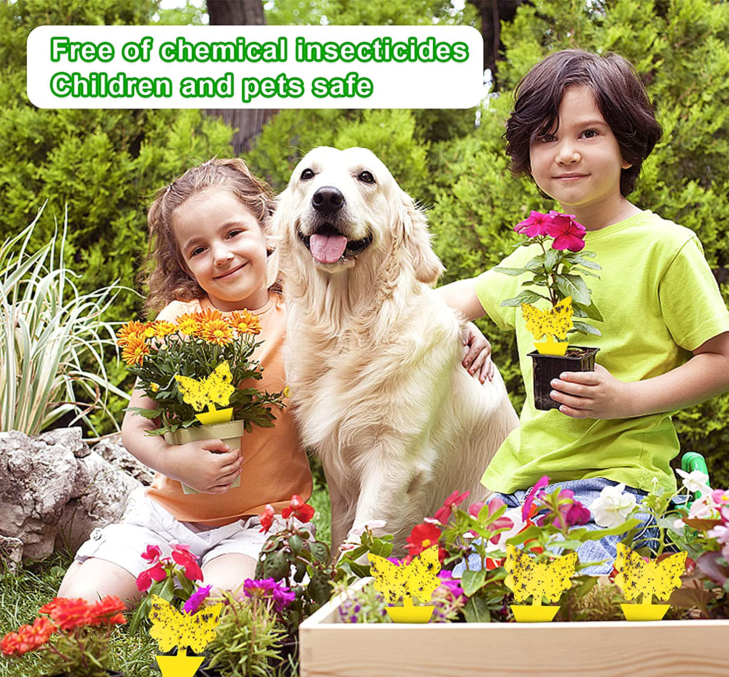 24 Pack Yellow Sticky Traps and Fungus Gnat Traps Killer for Indoor Outdoor, Fruit Fly Traps Protect The Plants
