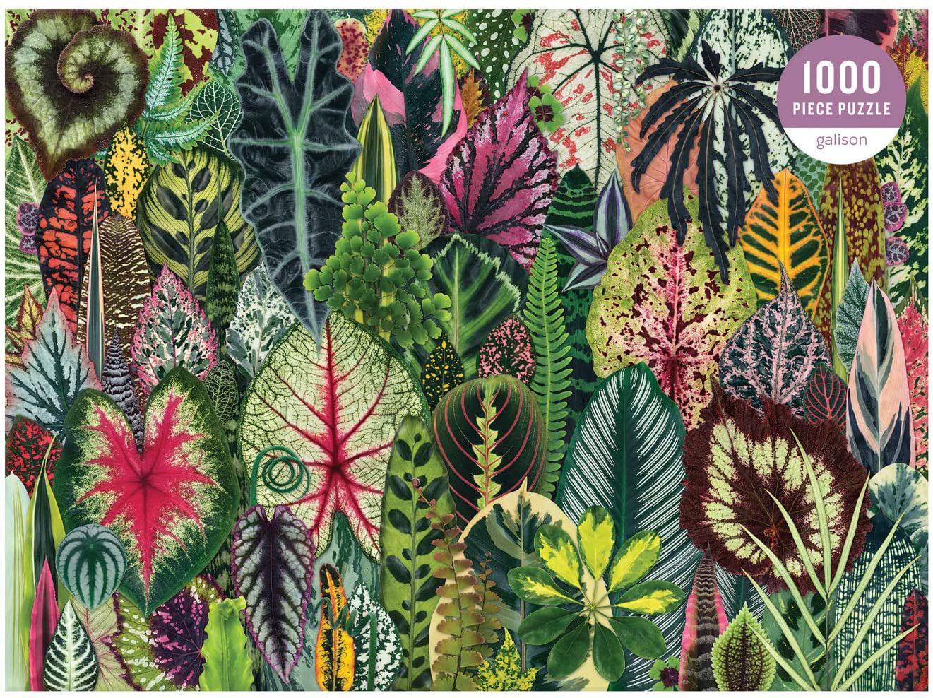 Galison Houseplant Jungle 1000 Piece Jigsaw Puzzle for Adults – Plant Jigsaw Puzzle with Mix of Succulents & Other Household Plants – Fun Indoor Activity, Multicolor