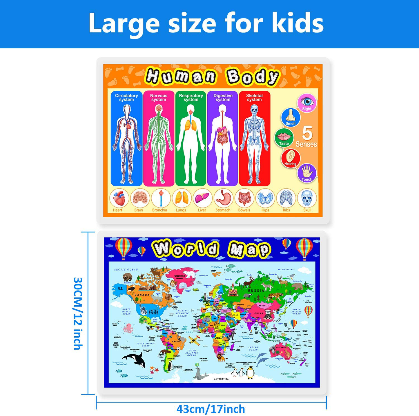 Fully Laminated Preschool Educational Posters for Kids and Toddlers, Nursery Homeschool Pre-K Kindergarten (4 Pieces, World Map, USA Map, Solar System, Human Body)