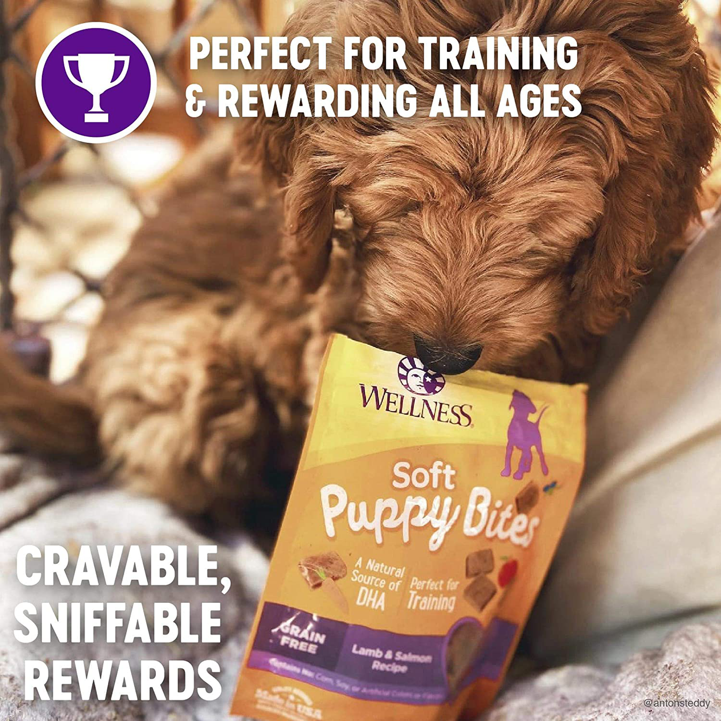 Wellness Natural Pet Food Grain-Free Crunchy Puppy Bites Treats