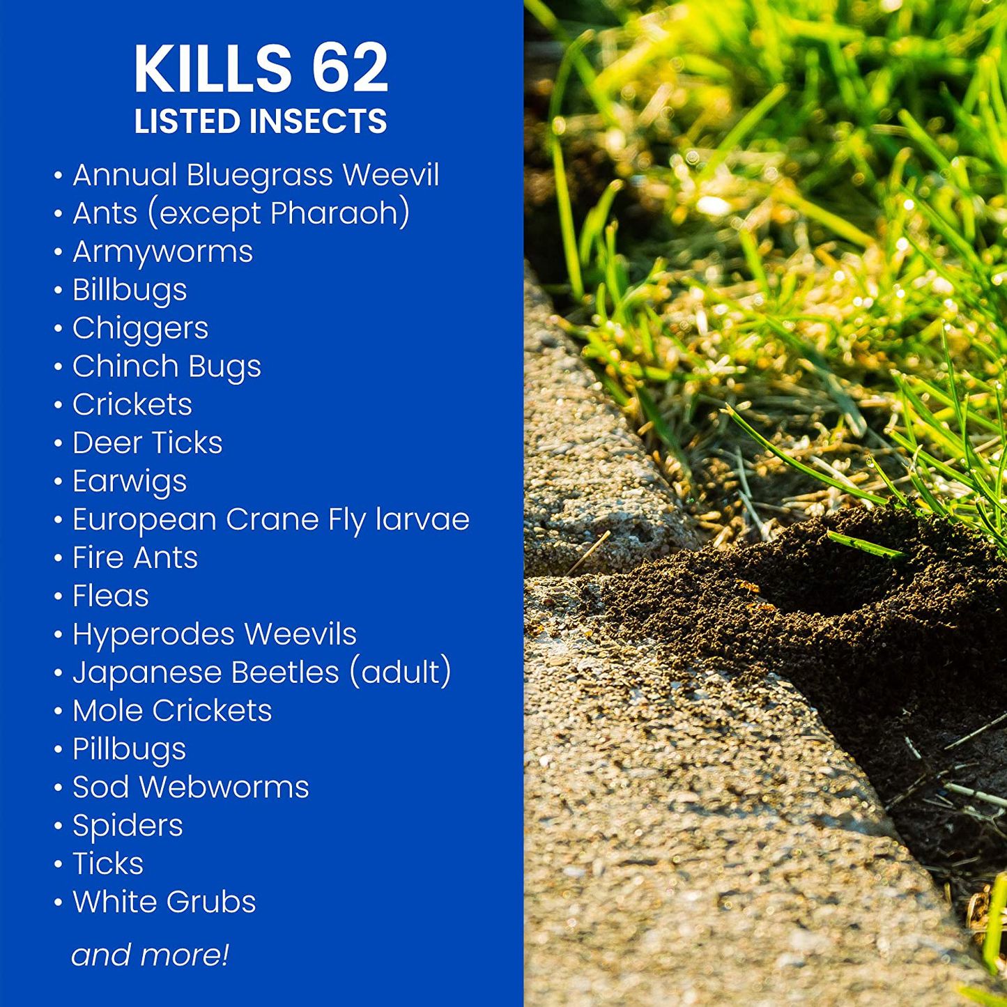 BioAdvanced 700270B Science-Based Solutions Grub, Ant & Mosquito Killer for Lawns, Pest Control, 40 oz, Concentrate