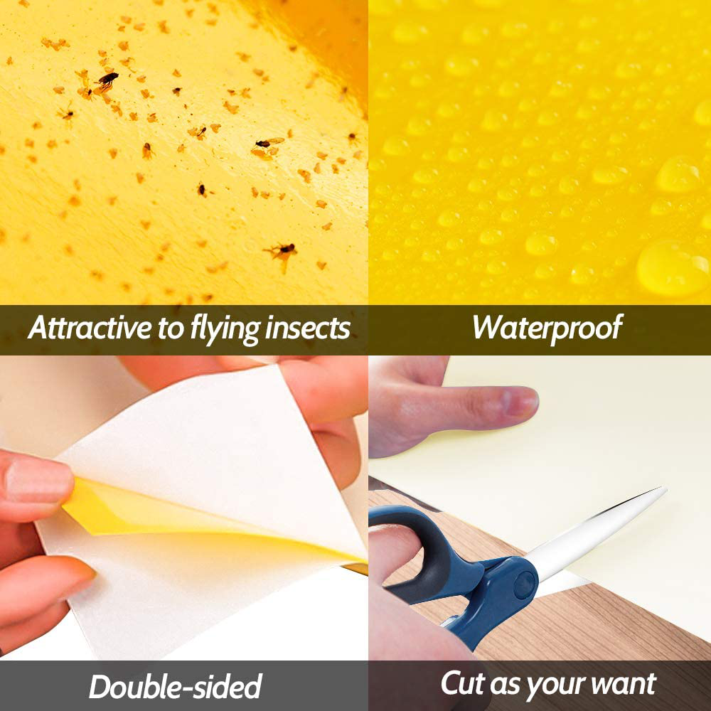Kensizer 10-Pack Fruit Fly Trap, Yellow Sticky Gnat Traps Killer for Indoor/Outdoor Flying Plant Insect Like Fungus Gnats, Whiteflies, Aphids, Leaf Miners - 6x8 in, Twist Ties Included
