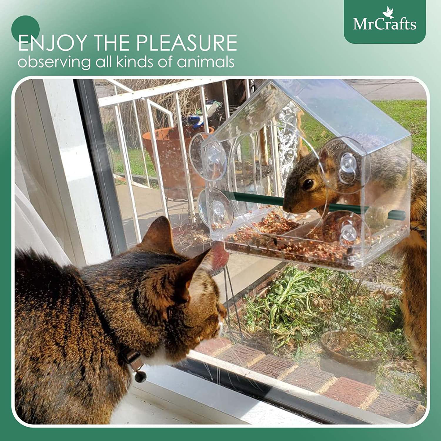 Mrcrafts Window Bird Feeder for outside with Strong Suction Cups, Fits for Cardinals, Finches, Chickadees Etc.