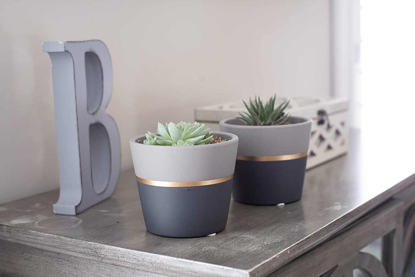 Costa Farms Succulents Fully Rooted Live Indoor Plant, 4-Inch Haworthia, in Black Gold Décor Ceramic Room Decor