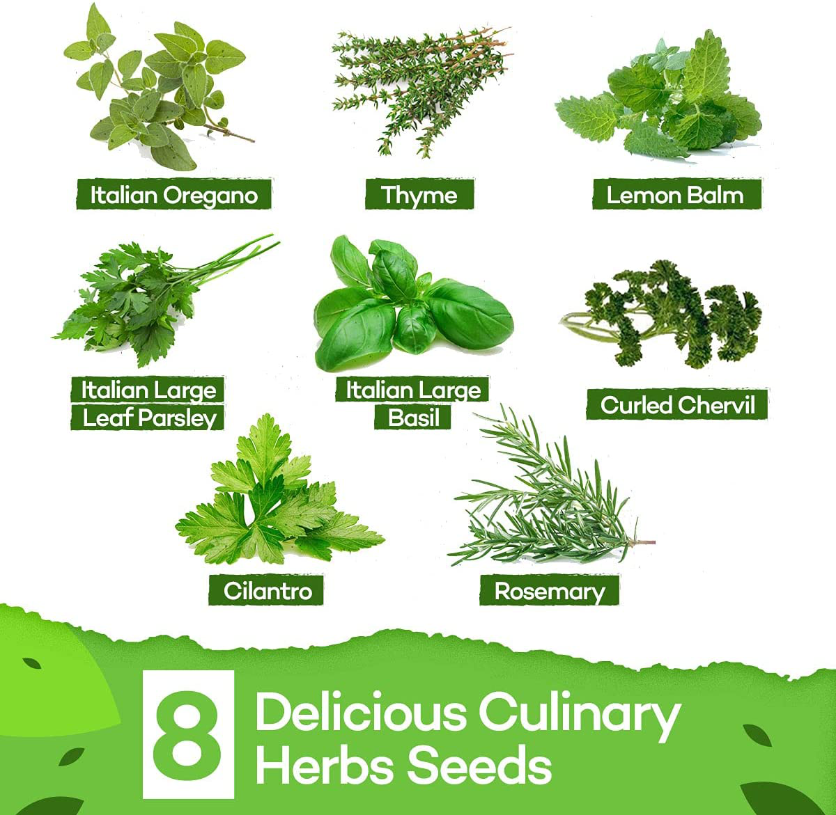 Deluxe Herb Garden Grow Kit – 8 Variety Indoor and Outdoor Herb Seed Starter Kit – Get Growing W/Pots, Potting Soil, and Detailed Gardening Guide by Home Grown - DIY Gardening Gifts for Women & Men