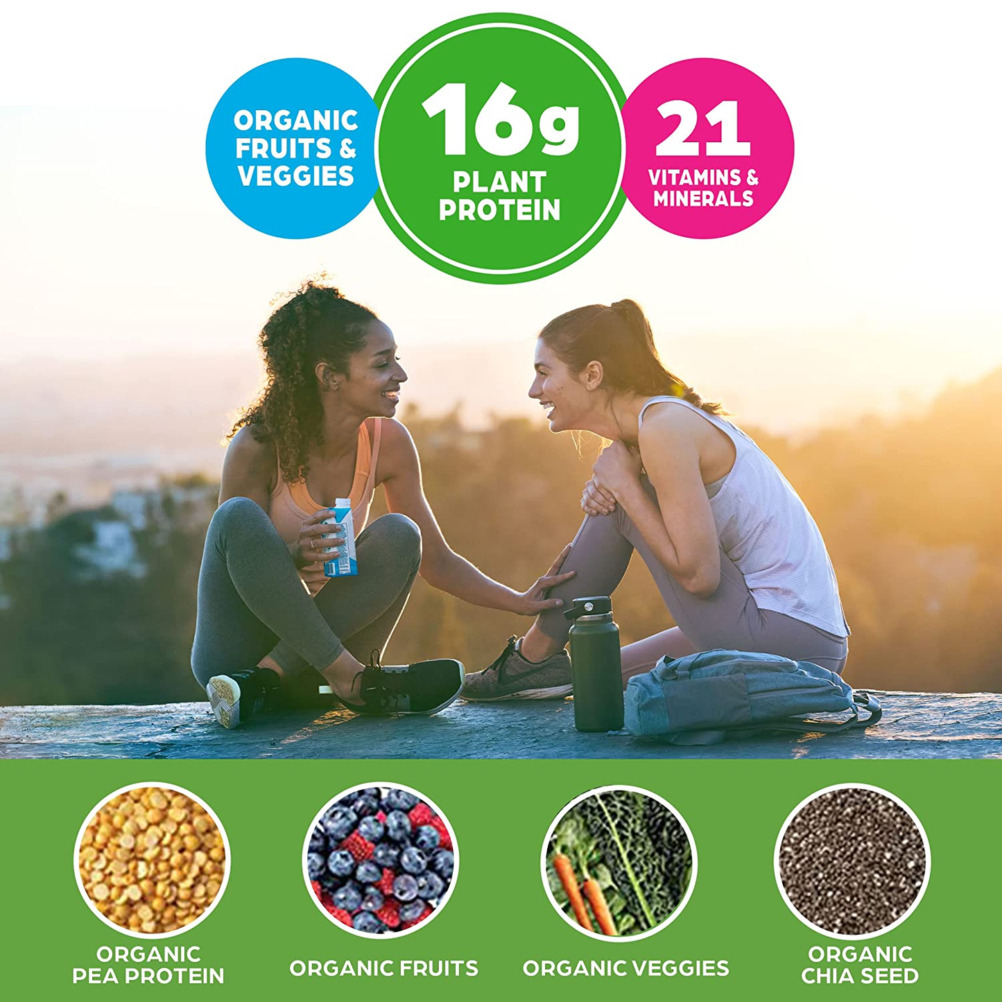 Orgain Organic Vegan Plant Based Nutritional Shake, Vanilla Bean - Meal Replacement, 16G Protein, 21 Vitamins & Minerals, Non Dairy, Gluten Free, Lactose Free, Kosher, Non-Gmo (Packaging May Vary)