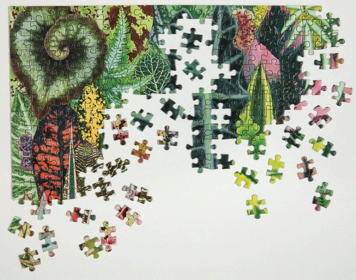 Galison Houseplant Jungle 1000 Piece Jigsaw Puzzle for Adults – Plant Jigsaw Puzzle with Mix of Succulents & Other Household Plants – Fun Indoor Activity, Multicolor