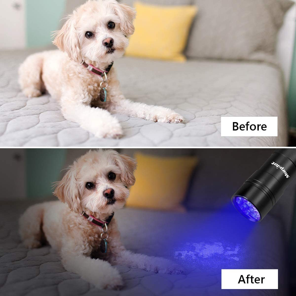 Morpilot Black Light, 2 Pcs UV Handheld Blacklight Flashlights 12 Led 395Nm Mini Light Torch Detector for Pets Urine and Stains