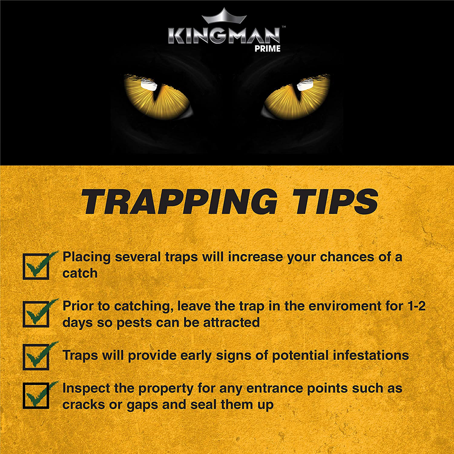 KINGMAN PRIME Rat Mouse Rodent Pest Glue Trap (Large Size) Tray Heavy Duty (10 Traps)