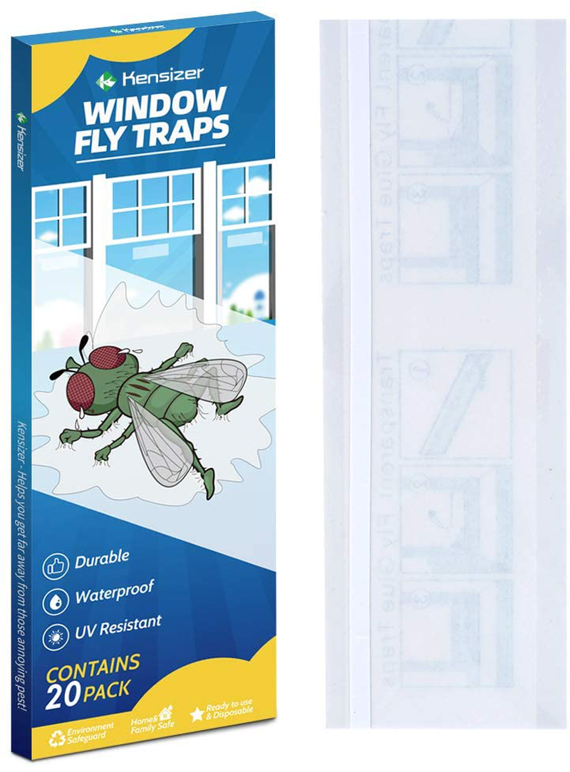Kensizer 30-Pack Window Fly Traps, Fly Paper Sticky Strips, Fly Catcher  Clear Windows Trap for Home, Fly Killer Lady Bug Traps Indoor