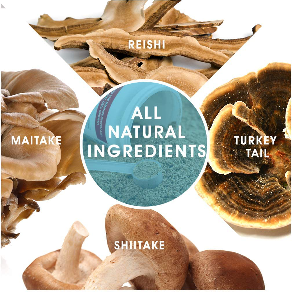 Critical Immune Defense for Dogs & Cats Turkey Tail, Reishi, Shiitake and Maitake Mushroom Formula with Patented White Turmeric Root Extract