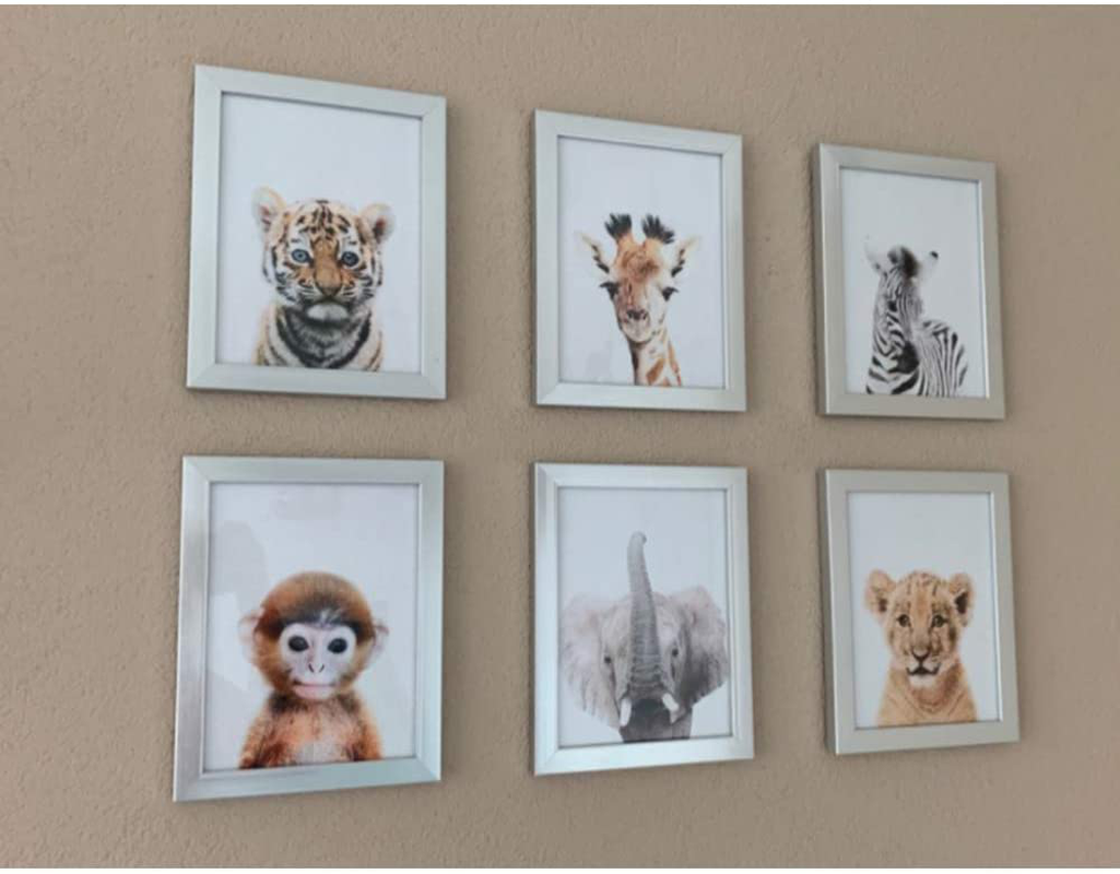Baby Animal Posters and Prints - EPHANY ART YMX016 - Baby Nursery Decor Pictures Set of 6 (Unframed) Cute Animal Photography Wall Prints for Baby Boys & Girls Room YMX016 (8"x10"(20x25cm))