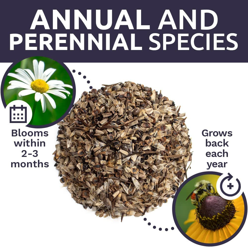 Over 7,500 Fresh Open Pollinated Non-GMO Wildflower Seeds