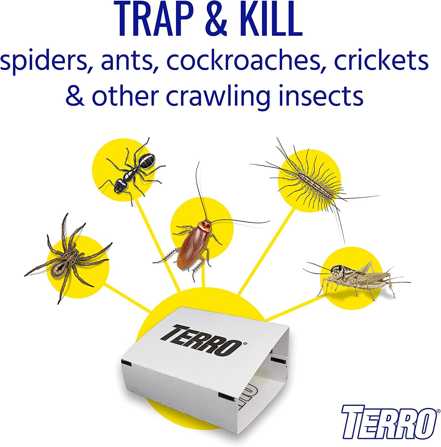 Terro T3206 Spider & Insect Trap, 4 Count (Pack of 1)
