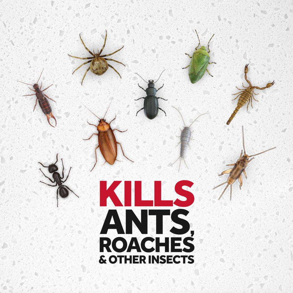 Raid® Ant & Roach Killer 26, Fragrance-Free Bug Spray, 17.5 Fl Oz, 2 Ct
