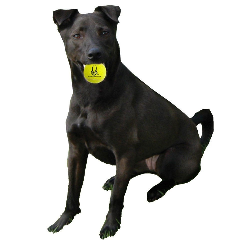 Tennis Balls, Dog Fetch Toys, Grade a Rubber Ball, Orange, 4 Count