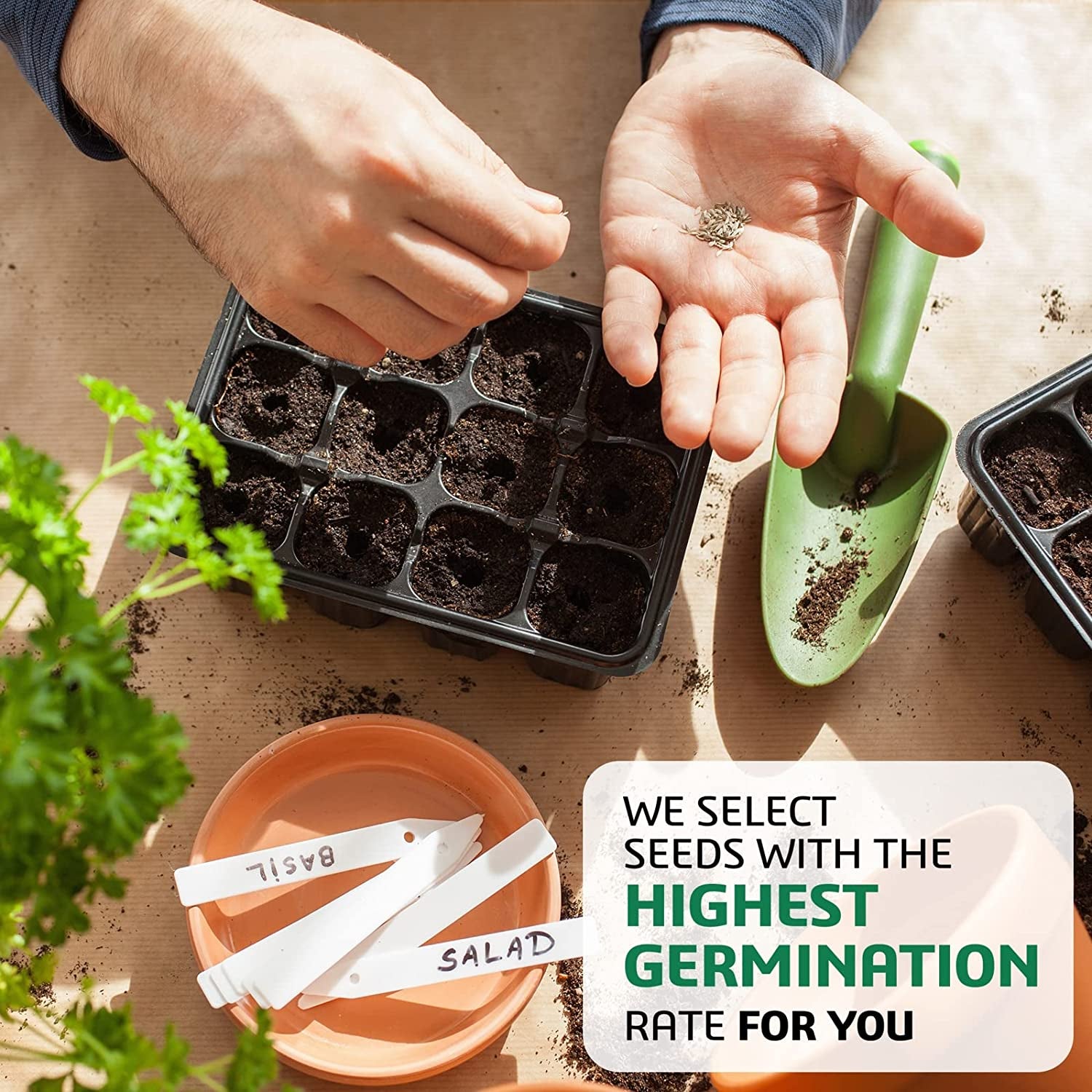 10 Herb Kit Non-GMO