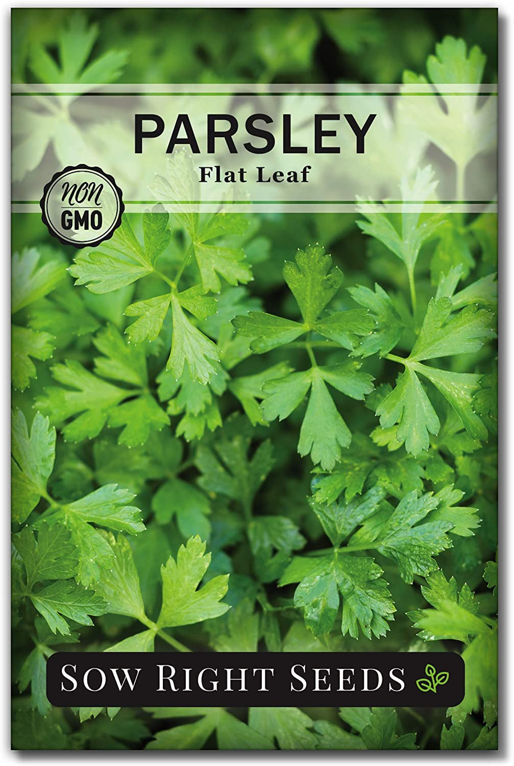 5 Herb Seed Collection - Genovese Basil, Chives, Cilantro, Italian Parsley, and Oregano Seeds