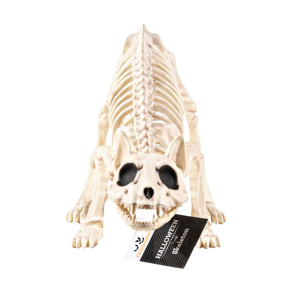 Faux Bat Skeleton