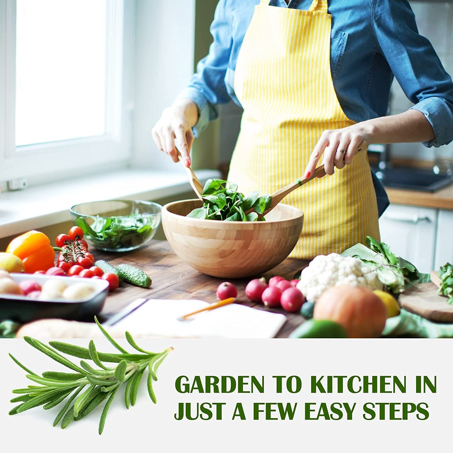 10 Herb Kit Non-GMO