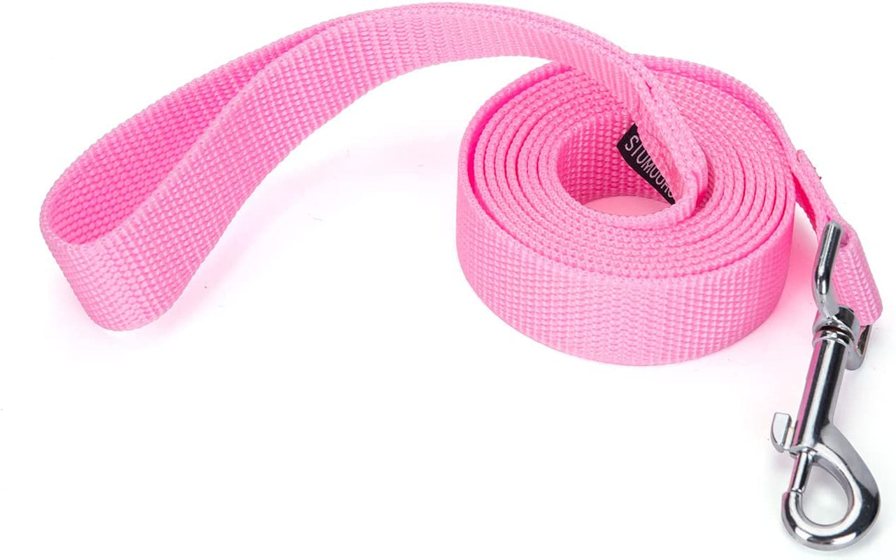 Siumouhoi Strong Durable Nylon Dog Training Leash, Traction Rope, 10 Feet Long, 1 Inch Wide, for Small and Medium Dog (10Feet, Purple)