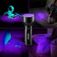 ZONAPA Ultraviolet UV Flashlight for Pet Stains, Dog Urine, Bed Bugs, Scorpions, and Glow Party Paint, Blacklight Reveals Fluorescent Color, Aluminum Alloy with Push Button