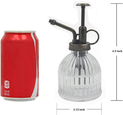 Glass Plant Mister Spray Bottle, 6.5" Tall Vintage Glass Watering Spray Bottle with Top Pump, Small Watering Can Indoor for Succulents - Clear